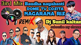 3 in 1 remix song baudha naya basti× Dome tu cosita×Nagarana ris Dj sunil kaltan tamang dj 2024 [upl. by Hanima]