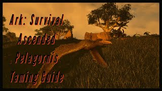 Pelagornis Taming Guide  Ark Survival Ascended [upl. by Reyaht]