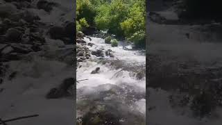 Pangi Nala at kalpa Himachal Pradesh waterfall trendingshorts [upl. by Bowrah680]