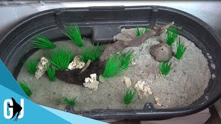 542 50 Gallon Fiddler Crab Habitat  Update Monday [upl. by Swaine]