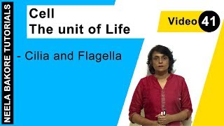 Cell  The unit of Life  NEET  Cilia and Flagella  Neela Bakore Tutorials [upl. by Ennoid]