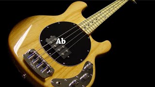 Bass Tuner Half Step Down  Afinador de Bajo Medio Tono Atrás  Eb Ab Db Gb [upl. by Eico54]