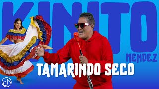 Tamarindo SECO 🪇 KINITOMENDEZOFFICIAL 🤩 Video Oficial [upl. by Columba]