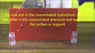 Ammonia HCl Diffusion  Microscale Student version [upl. by Anitsirhc553]