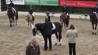 Malu 6 und Bella  1 Platz im RWB in Nümbrecht am 20092015 [upl. by Sension]