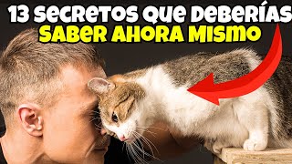 13 COMPORTAMIENTOS para ENTENDER a tu GATO 😺 [upl. by Lapotin767]