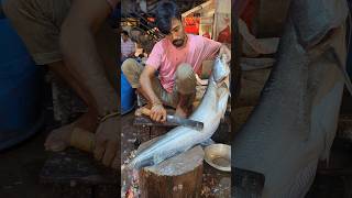 I Never Seen 😲 Amazing Monster Boal Fish Cutting By Expert Fish Cutter  Part1 shorts [upl. by Eissirc544]