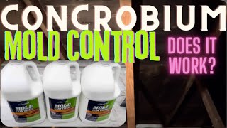 DIY Concrobium Mold Control Solution Spray Application and Results  Attic Black Mold Remediation [upl. by Coppins995]