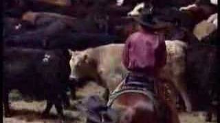 2001 NCHA Futurity Open Champion [upl. by Namurt]