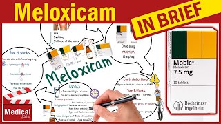 Meloxicam  Mobic 75 amp 15 mg  What is Meloxicam Used For Dosage Side Effects amp Precautions [upl. by Ilagam206]