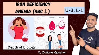 iron deficiency anemia  iron deficiency anemia pathophysiology  iron deficiency anemia b pharmacy [upl. by Waldemar]