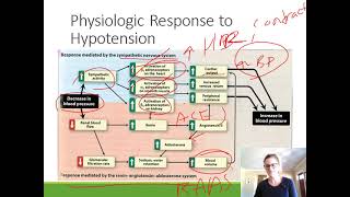 Pharmacology For PA Students Hypertension Part 1 [upl. by Ainsley]