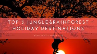 Best JUNGLE amp RAINFOREST Holiday Destinations [upl. by Elocin323]