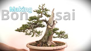 How to make Bonsai [upl. by Celisse]