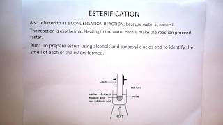 Esterification Theory for Practical Gr 12 [upl. by Limemann]