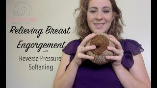 Relieving Breast Engorgement with Reverse Pressure Softening [upl. by Hsac]