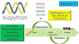 Biopython Course  Transcribe Translate Complement amp Rev Complement a Nucleotide Seq  Lesson 5 [upl. by Garrison999]