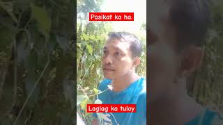 Pasikat ka ha laglag ka tuloy [upl. by Arehc]