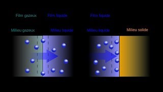 Absorption vs Adsorption 【4K】 [upl. by Ojimmas]