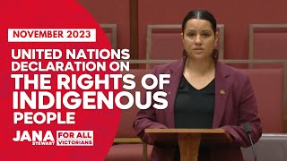 What We Can Learn From UNDRIP  Senator Jana Stewart [upl. by Shandeigh]