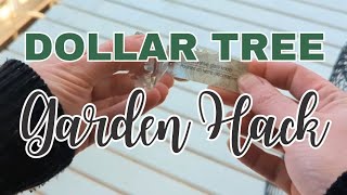 Dollar Tree Garden Hack Budget Friendly Gardening Idea [upl. by Silvestro]