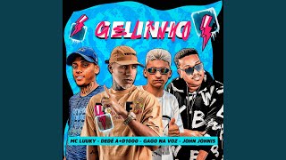 Gelinho Remix [upl. by Nipahc531]