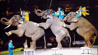 Shrine Circus 2024 in North Dakota USA 2 [upl. by Aliak879]