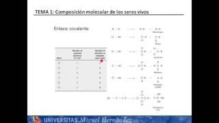 Lec112 El carbono umh1025 201516 [upl. by Claudius]