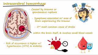 Brain Hemorrhage  Epidural Subdural Subarachnoid Intracerebral  Concisely Described [upl. by Leslie]