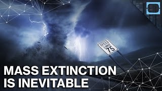 Why The Next Mass Extinction May Already Be Here [upl. by Nodnarb]