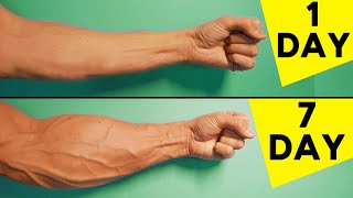 5 Best Exercises For Forearms  Home Workout [upl. by Albric]