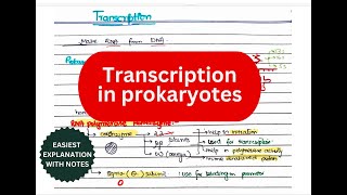 Transcription in prokaryotes  Initiation Elongation Termination  Rho dependent and independent [upl. by Ardyce]