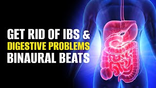 Get Rid Of Ibs And Digestive Problems  Improve Your Gut Bacteria amp Health  Binaural Beats Healing [upl. by Eniak]