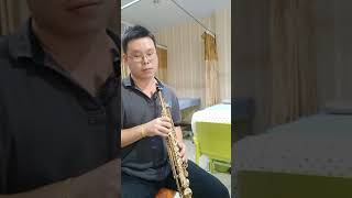 Careless whisper Sam Levine Selmer Mark VI soprano sax [upl. by Lander]