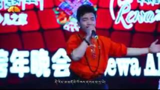 Tibetan Losar Song 2016 [upl. by Mureil]