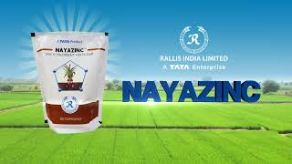 Unlock the Power of Nayazinc Transform Your Harvest with Rallis Indias Revolutionary Product 🌱✨ [upl. by Purpura20]