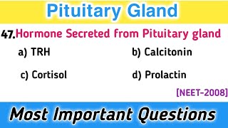 Endocrinology MCQs  Pituitary Gland  Most Important Questions for NEET 2023 [upl. by Nailimixam]