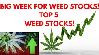 TOP 5 WEED STOCKS MARIJUANA STOCKS BEST WEED STOCKS TO BUY POT STOCKS CRON STOCK SNDL STOCK [upl. by Anawat210]