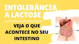 O que é a Intolerância à Lactose e o que acontece no seu corpo [upl. by Vasilis]