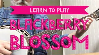 Learn to Play Blackberry Blossom  Bluegrass Banjo [upl. by Senior]