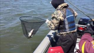 Walleye Slayers  Minnesota Fishing Opener 2016 [upl. by Fernande]