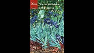 Baudelaire  Les Fleurs du mal 1857  Introduction [upl. by Nodle]