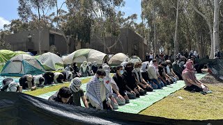 UCSD students establish proPalestine encampment on campus [upl. by Dee64]