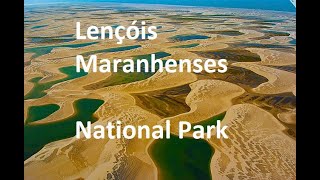 Lençóis Maranhenses National Park wildlife amazing nationalpark brazil fyp [upl. by Inaoj]