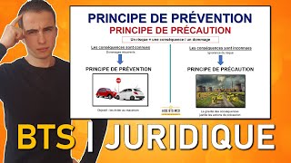 Révisions DROIT 21  Le principe de prévention et principe de précaution  AIDE BTS MUC  BTS MCO [upl. by Asilam]