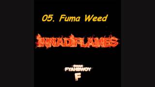 05 Swan Fyahbwoy  Fuma weed Innadiflames [upl. by Derwon]