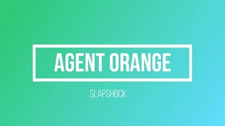 Agent Orange by Slapshock  Karaoke [upl. by Rafaelita938]