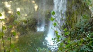 Scheidegger Wasserfälle Zoo [upl. by Davey229]