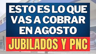 💫 LO QUE TENES QUE COBRAR 🔥 CONFIRMADO por MILEI y CAPUTO  AGOSTO 2024 JUBILADOS y PENSIONADOS PNC [upl. by Carlo]