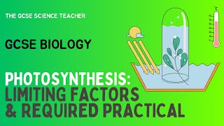 GCSE Biology Photosynthesis Required Practical AQA OCR Edexcel [upl. by Mazurek]